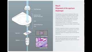 How to set up Koehler Illumination Science Lab [upl. by Atnek]