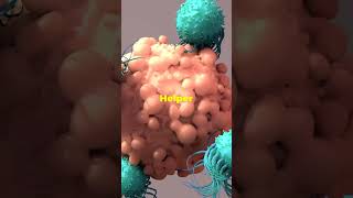 Adaptive Immunity explained  Part 3 Immune System facts science shorts [upl. by Oker]