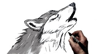 How to Draw A Howling Wolf  Step by Step [upl. by Mohamed]