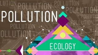 Pollution Crash Course Ecology 11 [upl. by Lahcim41]