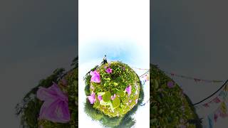 Insta360X4 Beach view🫰trending funny insta360 love viralvideo youtubeshorts shorts [upl. by Bogey193]