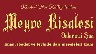 Risalei Nur KülliyatıŞûalar  Onbirinci Şuâ  Meyve Risalesi Tek Parça [upl. by Repsihw]