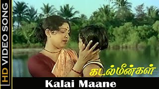 Kalai Maane Song  Kadal Meengal Movie  Kamal Haasan Sujatha  P Susheela Hits  Old Songs  HD [upl. by Eenat666]