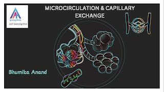 Microcirculation amp capillary exchange circulatorysystem medical mbbs alliedhealth heartfailure [upl. by Yrellav659]