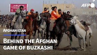 The pain and money behind the Afghan game of buzkashi  AFP [upl. by Hagood]