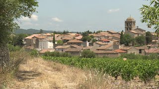 Le Minervois  rugueux et généreux à la fois entre Aude et Hérault découverte de La Livinière [upl. by Ecam]