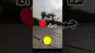 ١٦ أكتوبر ٢٠٢٤ [upl. by Zeke]