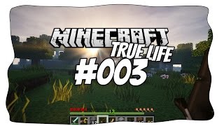 TRUE LIFE 003 Deutsch HD Facecam  Weiter gehts [upl. by Gnos]