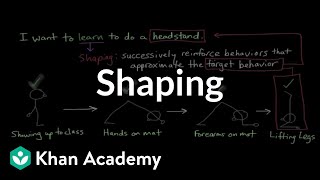 Operant conditioning Shaping  Behavior  MCAT  Khan Academy [upl. by Behl]