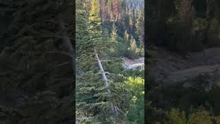 Lassen Volcanic National Park mountains nature nationalpark california video shorts youtube [upl. by Uel818]