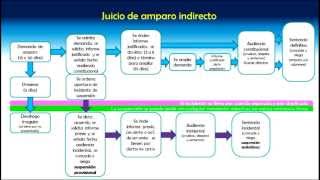 Procedimiento del juicio de amparo indirecto [upl. by Lisan]