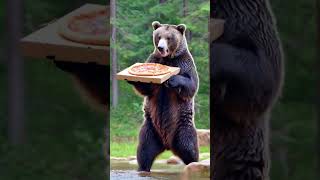 Bear delivers pizza [upl. by Lewison]