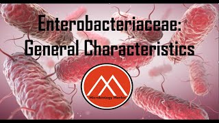 Enterobacteriaceae Enterobacterales GRAMNEGATIVE ENTERIC BACILLI ecoli bacteriology biology [upl. by Areip]