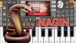 Naggin Instrumental Versions [upl. by Cookie]