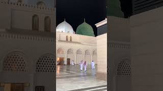 Madina pak Sallu alaihi wa aalihi 💕 saudiarabiaoldmanviralvideo [upl. by Iey]