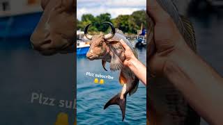 Cowfishversatileutensils viralshorts viralvideo [upl. by Llyrat]