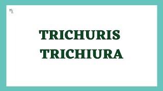 Trichuris trichiura  Trichuriasis Causes Signs and Symptoms Diagnosis amp Treatment  Whipworm [upl. by Burner]