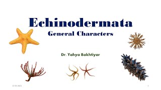 19 Echinodermata General Characters [upl. by Fania]