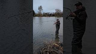 Carp On solid bags carp fish fishing catchandrelease fishing fishingvideo karp hindersbait [upl. by Essilec]