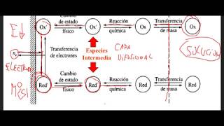 Clase 42 Electroquímica analítica parte II [upl. by Llahsram6]