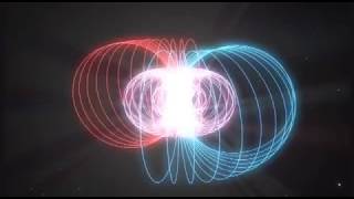 Torus  Magnetic Fields  Embedded Vortex Visualisation [upl. by Icats]