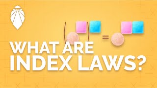 How to use the index laws  Math Foundations [upl. by Euhc807]