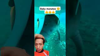 Manateemanatee fypシ゚viral water subscribe viralvideo [upl. by Wyn]