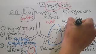 Respiratory new system Hypoxia and Cyanosis dr mohamed fayez [upl. by Notnad616]