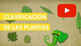 Clasificación de las plantas  Camaleón [upl. by Nolur]