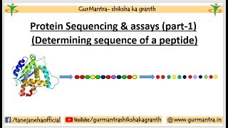 PROTEIN SEQUENCING amp ASSAYS  N amp C TERMINAL AMINO ACID ANALYSIS  PART1 [upl. by Rambow]