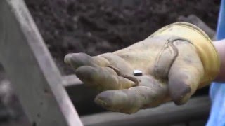 Eastern Pequot Archaeological Field School A Community Partnership [upl. by Helen]