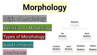 Morphology  Word Formation in Morphology  Morphemes  Types of Morphemes  Syntax vs Morphology [upl. by Alic]