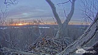 2018  Hanover PA Bald Eagle Nest Cam TimeLapse Clip [upl. by Ainet132]