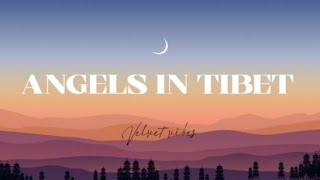 Angels In Tibet lyrics ✨ [upl. by Ynaffet]