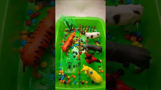 Mini Diorama Animal Toys and Candy Asmr asmr shorts candy [upl. by Feodore979]