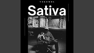 Sativa [upl. by Notsirk40]