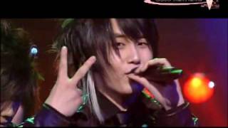 SS501 5year Flashback  Live Mix  4 Chance [upl. by Orit]