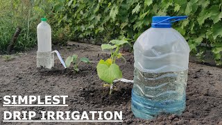 The EASIEST DRIP IRRIGATION DIY in a FEW MINUTES [upl. by Esylle926]