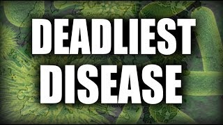 The Deadliest Diseases of Tamriel  Elder Scrolls Lore [upl. by Eecart408]