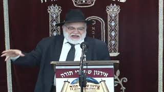 Looking With A Positive Eye  Rabbi Moshe Weinberger Flatbush [upl. by Annaor]