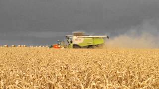 CLAAS LEXION 770 TT BLE 2012 CHAMPAGNE CRAYEUSE AUBE [upl. by Stickney]