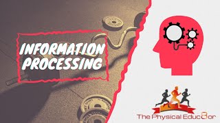 Physical Educ8or IB SEHS Skill Information Processing [upl. by Cynde]