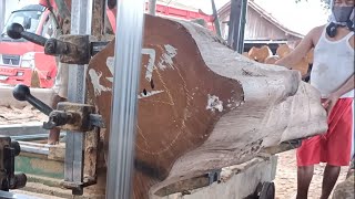 Monster Kayu Jati keras tberbentukbikin lemas operator bansaw sawmill kayu jati Blorawood working [upl. by Lehctim]