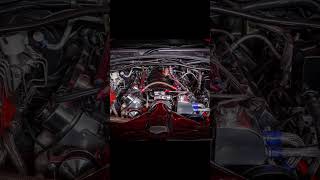 Monaro CV8 flame 10sec Street carawzoomracing automobile carshows fast musclecar [upl. by Demmahum]