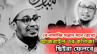 বে নামাজি সন্তান মনে রেখোআজরাইল তর কলিজা ছিইরা ফেলবে।মাওলানা৷ আনিসুর রহমান আশরাফী। nekir waz 20 [upl. by Airdnat99]