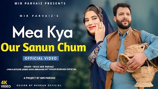 Mea Kya Our Sanun Chum  Funny Kashmiri Song  Mir Parvaiz  Hena [upl. by Apoor116]