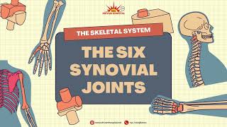 🦴 Understanding the Six Synovial Joints Shivam Hospital Dombivli 🦴 [upl. by Cecilius52]