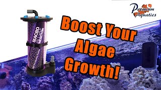 Tank Series  Tunze Macro Algae Reactor [upl. by Norym897]