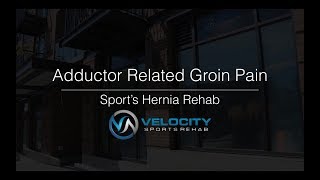 Adductor Related Groin Pain  Sports Hernia Rehab Exercises [upl. by Genie]