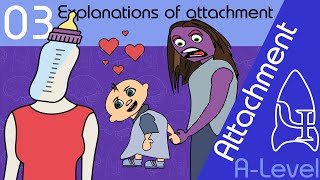 Explanations of attachment  Attachment ALevel Psychology [upl. by Arataj]